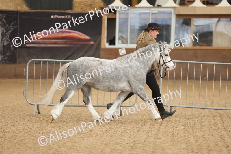 20251109-0604 - Class 22 - Geldings 4 Years and over