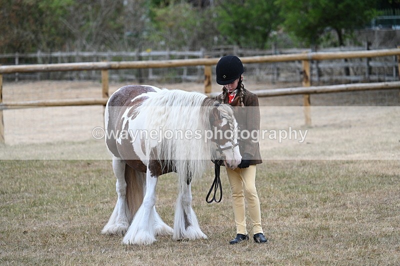 WJ7_8212 - Class 4 Prettiest Mare up to 14.2hh