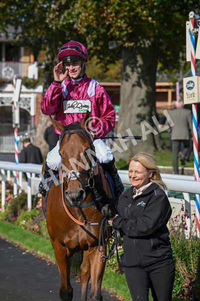 111024-Race 1-Empirestateofmind-1340 - Race 1 1.30pm William Hill Top Price Guarantee Autumn Handicap