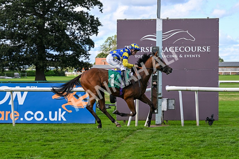 140926-Race 3-Majestic Jude-7095 - Race 3 3.21pm British Stallion Studs EBF Novice Stakes