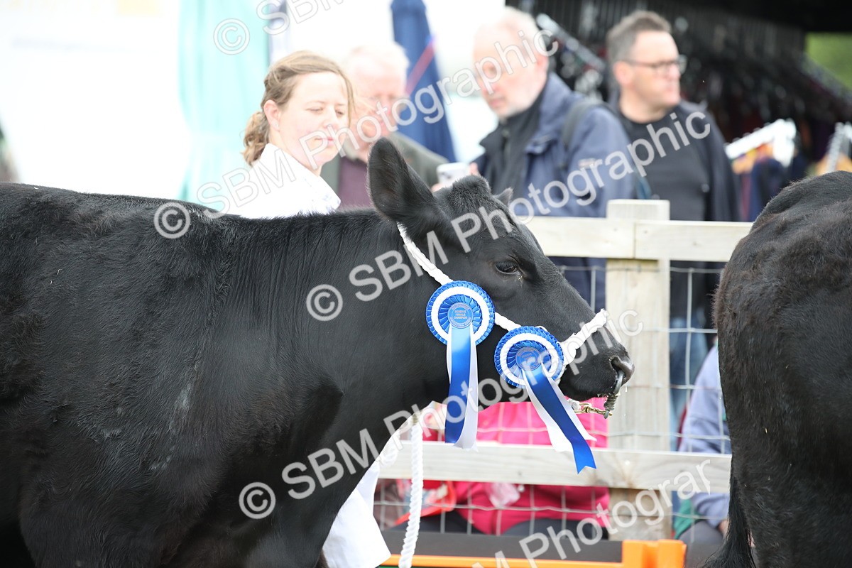 SBM_07820 - Grand Parade