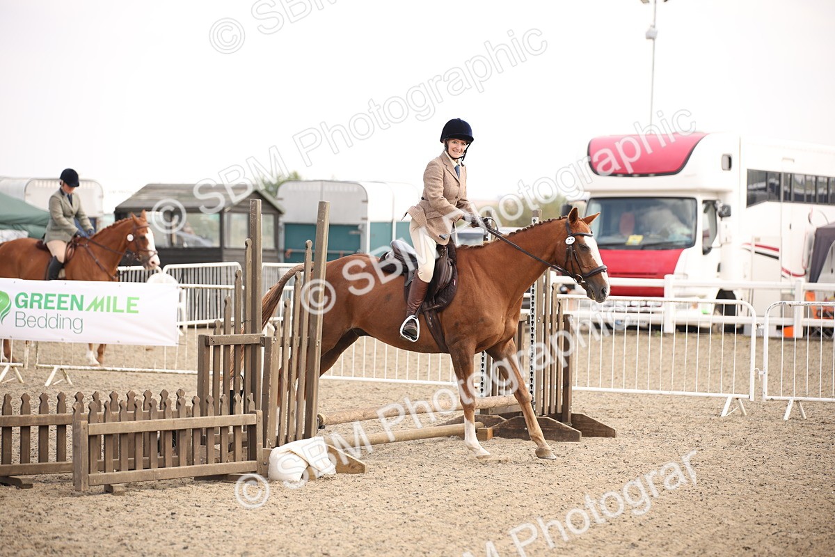 SBM_13590 - Class 406b - Working Veteran 50cm (20+)