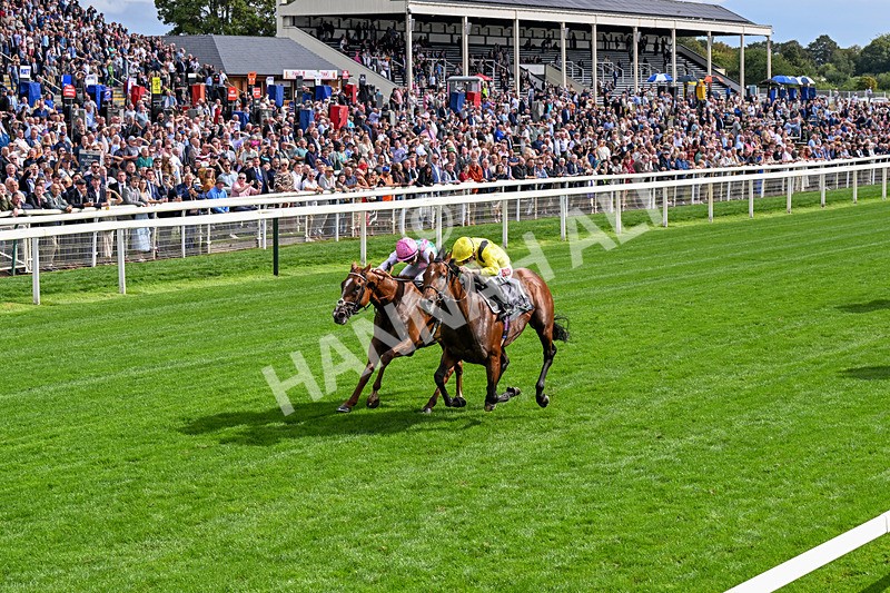 190826-Race 4-Item-0481 - Race 4 15.35pm Juddmonte International Stakes