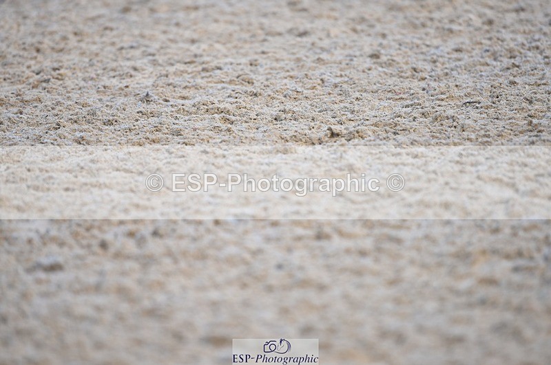 230909-082240-04135 - Cls 15 British Novice & 90cm Open