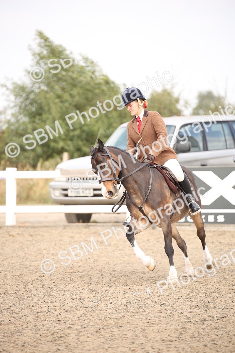 SBM_13558 - Class 406b - Working Veteran 50cm (20+)