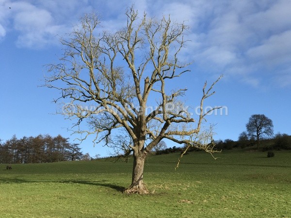  - Recent Images - by Matt Pennington