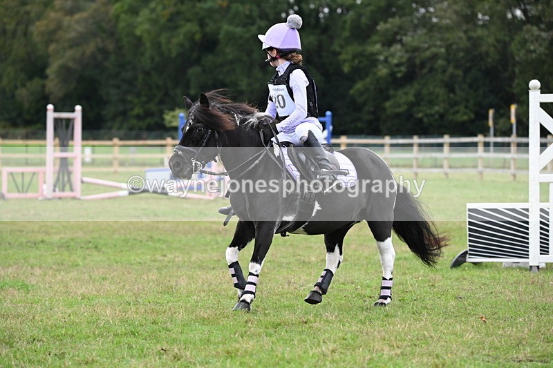 WJ6_0342 - 40cm Time 10:00 to 10:28