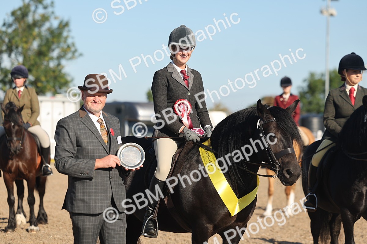 SBM_11106 - Class 302 - Ridden M&M Large Breeds
