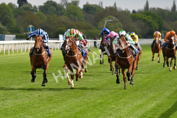 yr14052021r7-20 - Race 7 4.50pm Irish Thoroughbred Marketing Stakes