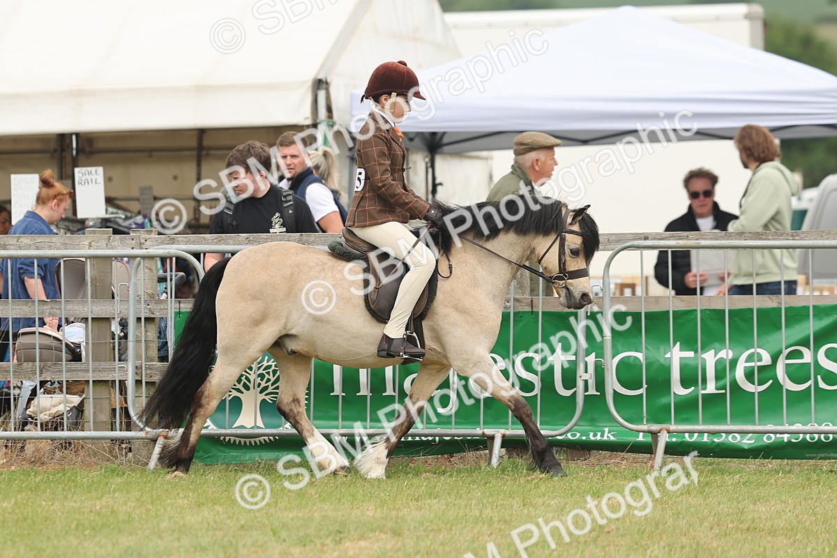 SBM_07095 - Class 76-77 - Ridden M&M Welsh Ponies