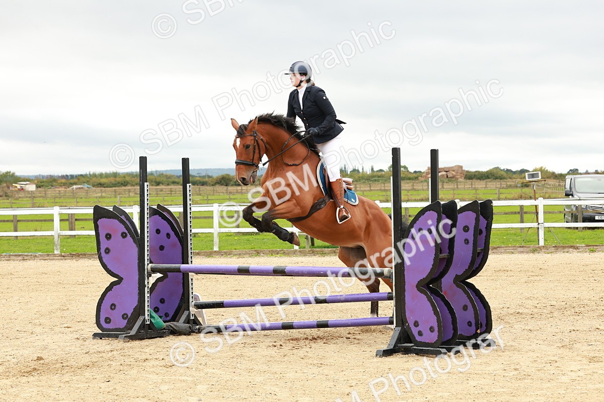 1I0A6845 - Class 2 - Senior British Novice