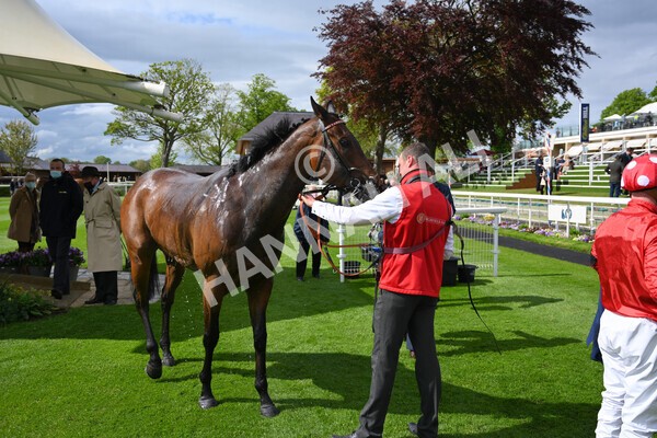 yr22052021r4-57 - Race 4 3.50pm WilliamHill.com Best Odds Guaranteed Stakes