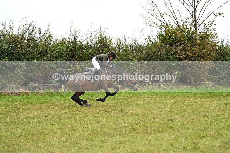 WJ7_4272 - Camera 1 Line 2