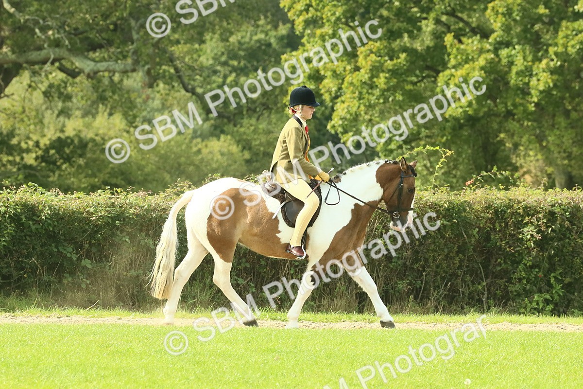 SBM_69005 - S58 - Mini Show Cob Ridden