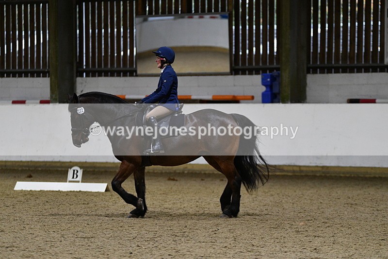 WJ5_8505 - Class 5 Novice Test 3