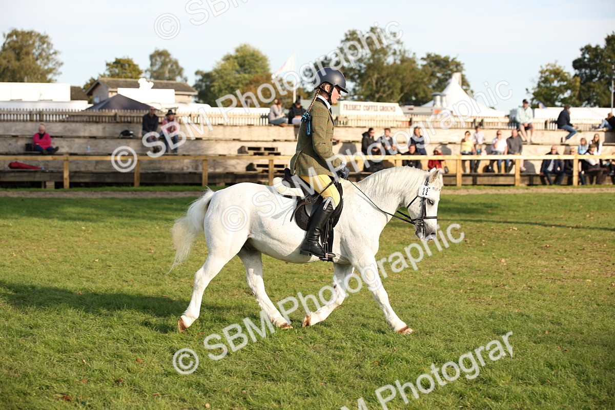 SBM_54347 - S27 - Mature Veteran - Ridden