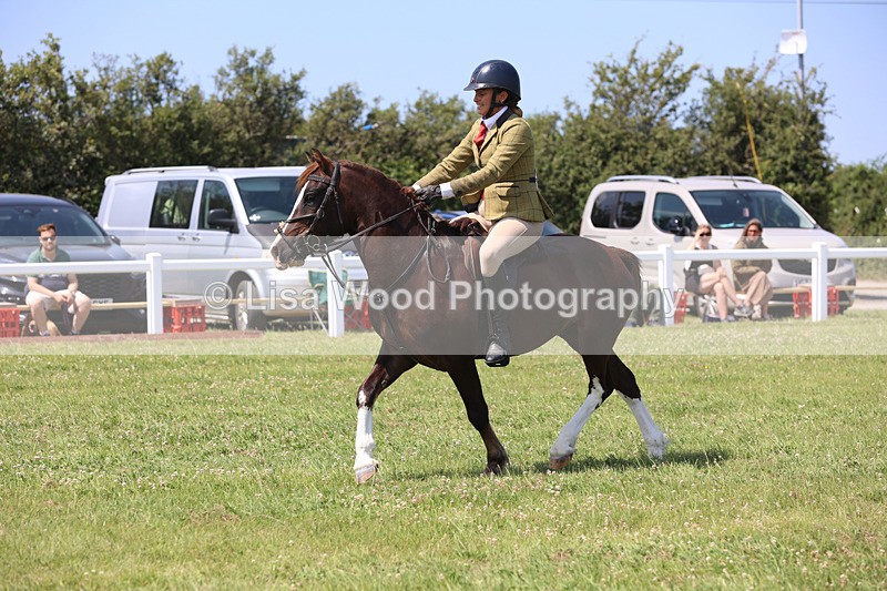 JPP_3044 - Class 22: Working Hunter 70cm