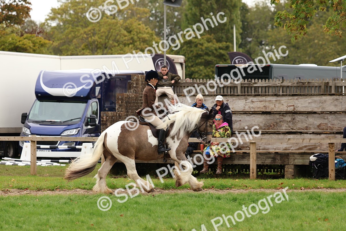 SBM_64492 - S58 - Coloured Pony Ridden