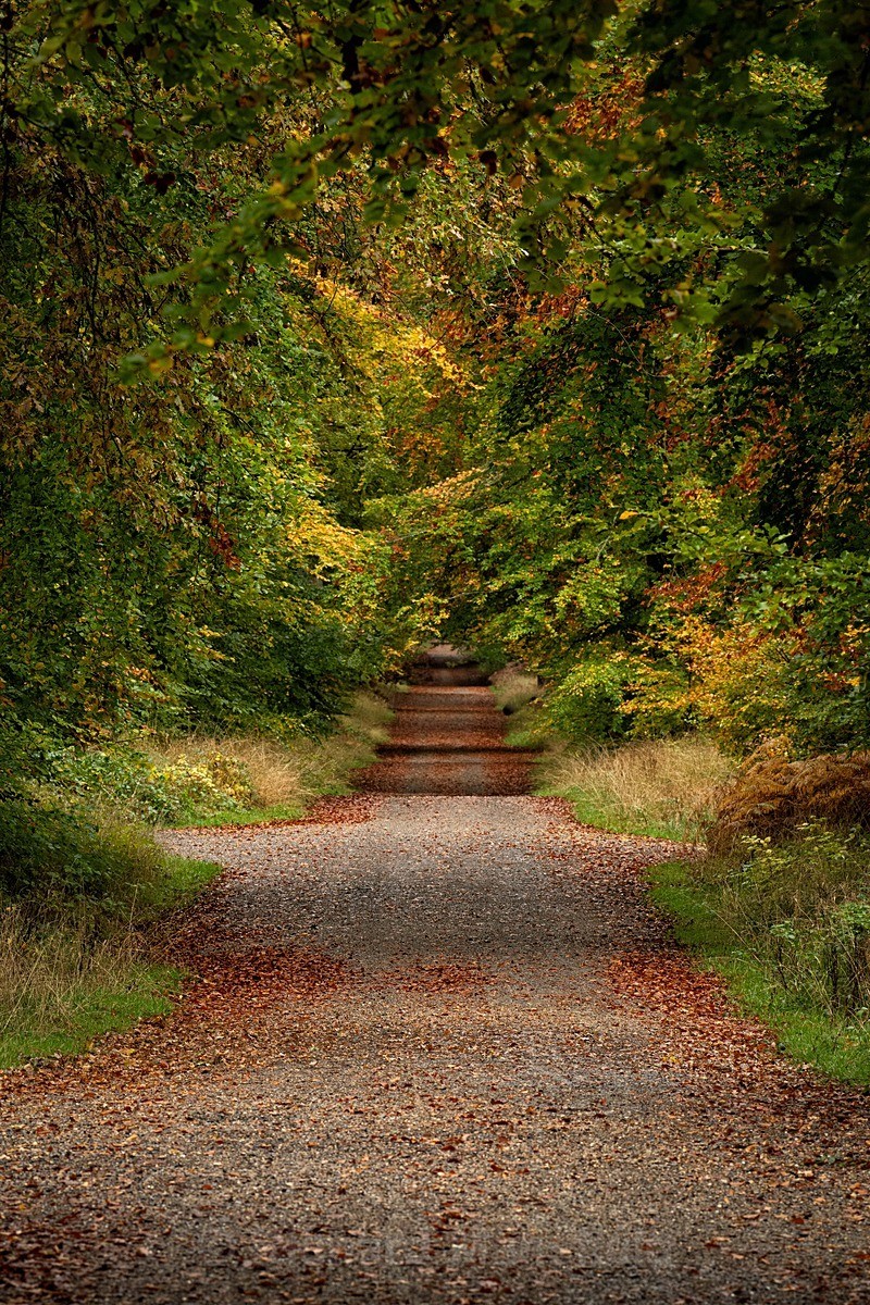  - Autumn