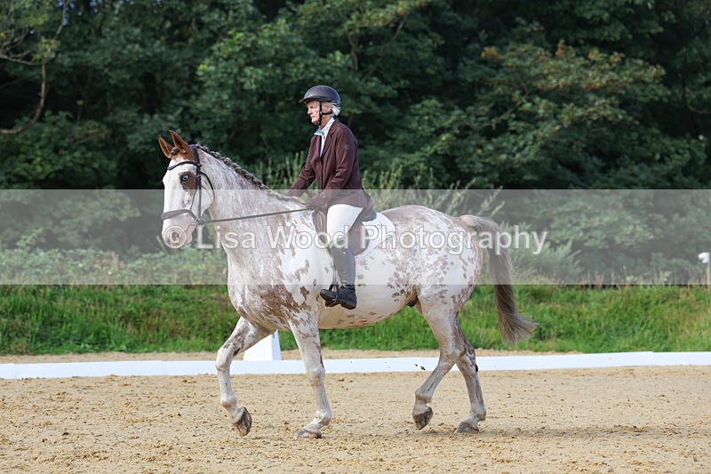 3E7A2363 - Class 1: Intro 4 2024 section A