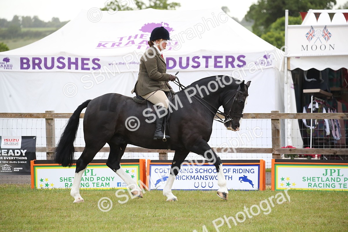 SBM_11044 - Class 92-93 - LIHS BSHA Rising Star Cobs