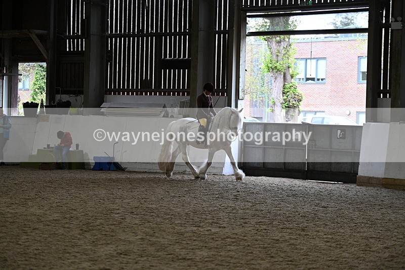 WJ7_3658 - Class 16 Ridden Coloured/ Odd Coloured