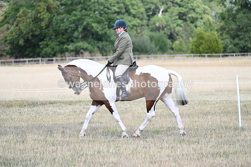 WJ7_7143 - Class 14 Ridden Coloured