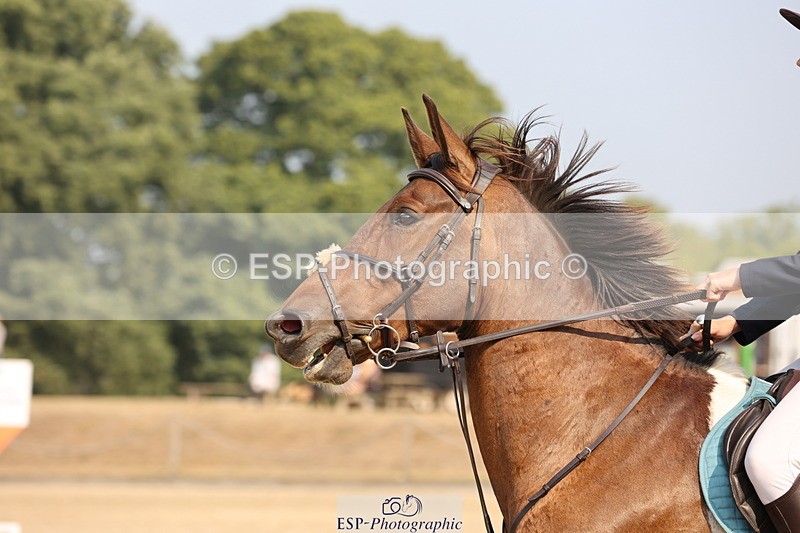 250816A-102229-00681 - Cls 3 Snr British Novice