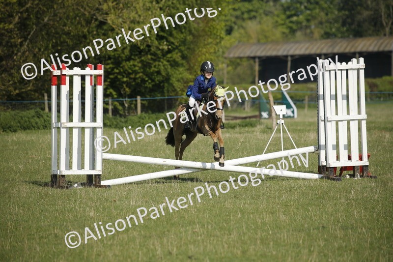 20250427-0354 - Class 12 - Rookie Jumping 40cm
