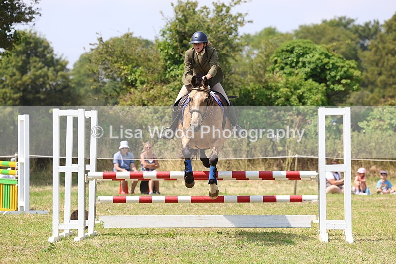 3E7A2993 - Class 7: Senior British Novice/90cm open