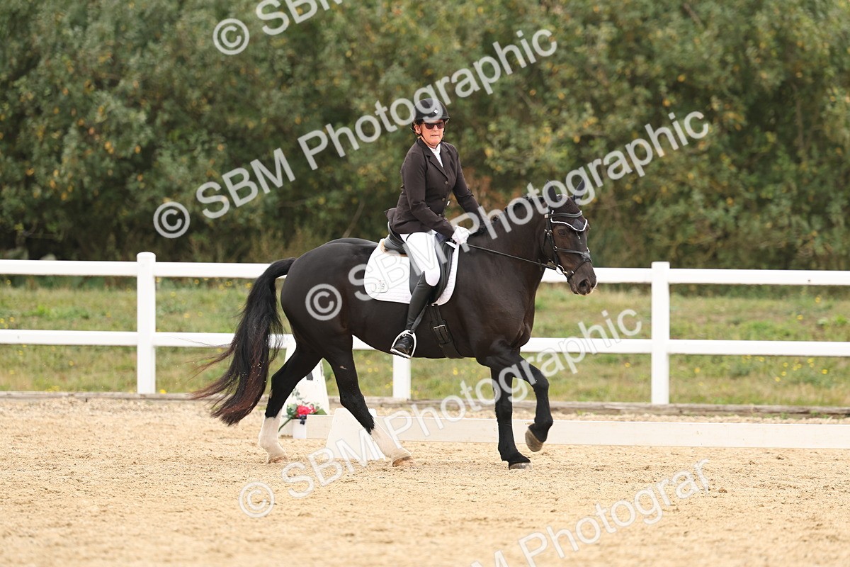 SBM_00943 - Class 8 - Novice 27 Champs