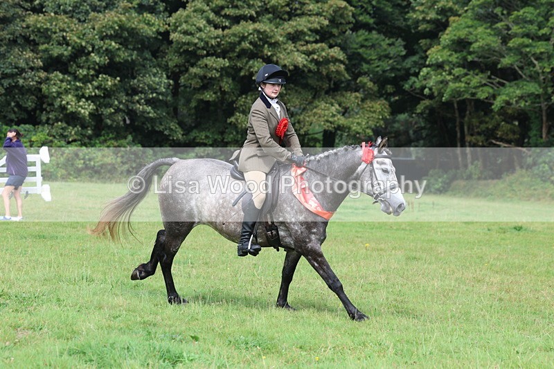 3E7A6200 - Working Hunter Championship