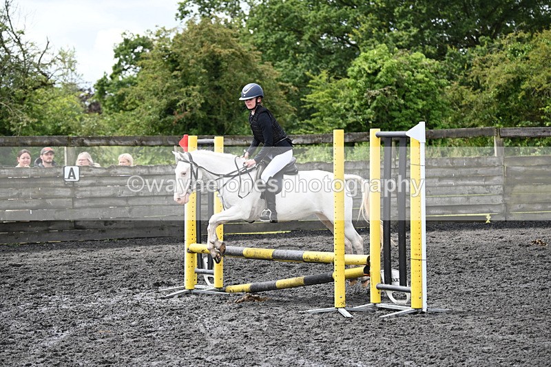 WJ6_9708 - Class 13 Novice 60cm
