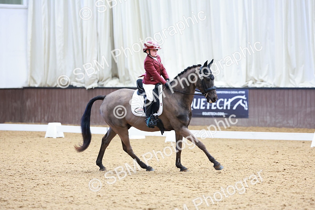 0B8A4042 - Class 3-6-9 - Prel Nov Ele - FSM