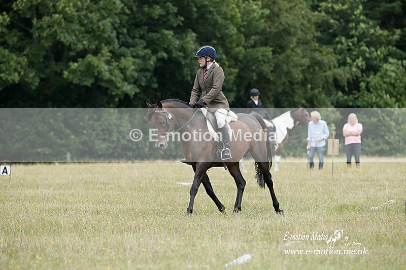 BVRC 030721 198 - Bourne Valley Riding Club Dressage 03/07/21