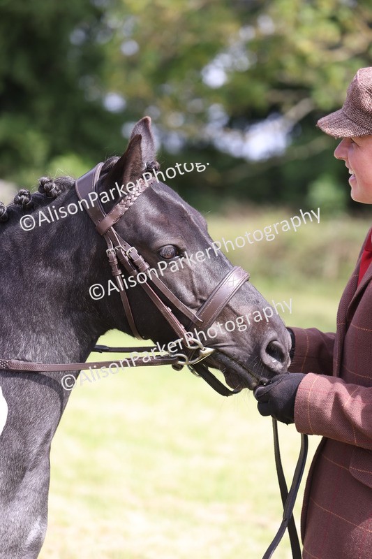 20260614-0592 - Class 20 - Beginners Working Hunter Pony