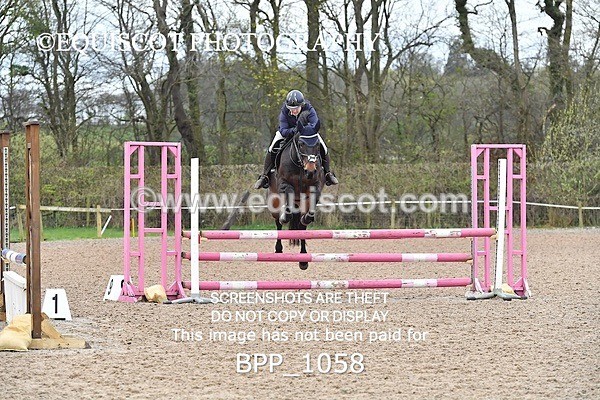 BPP_1058 - CLASS 2 Club/ Unaffiliated 80cms Open