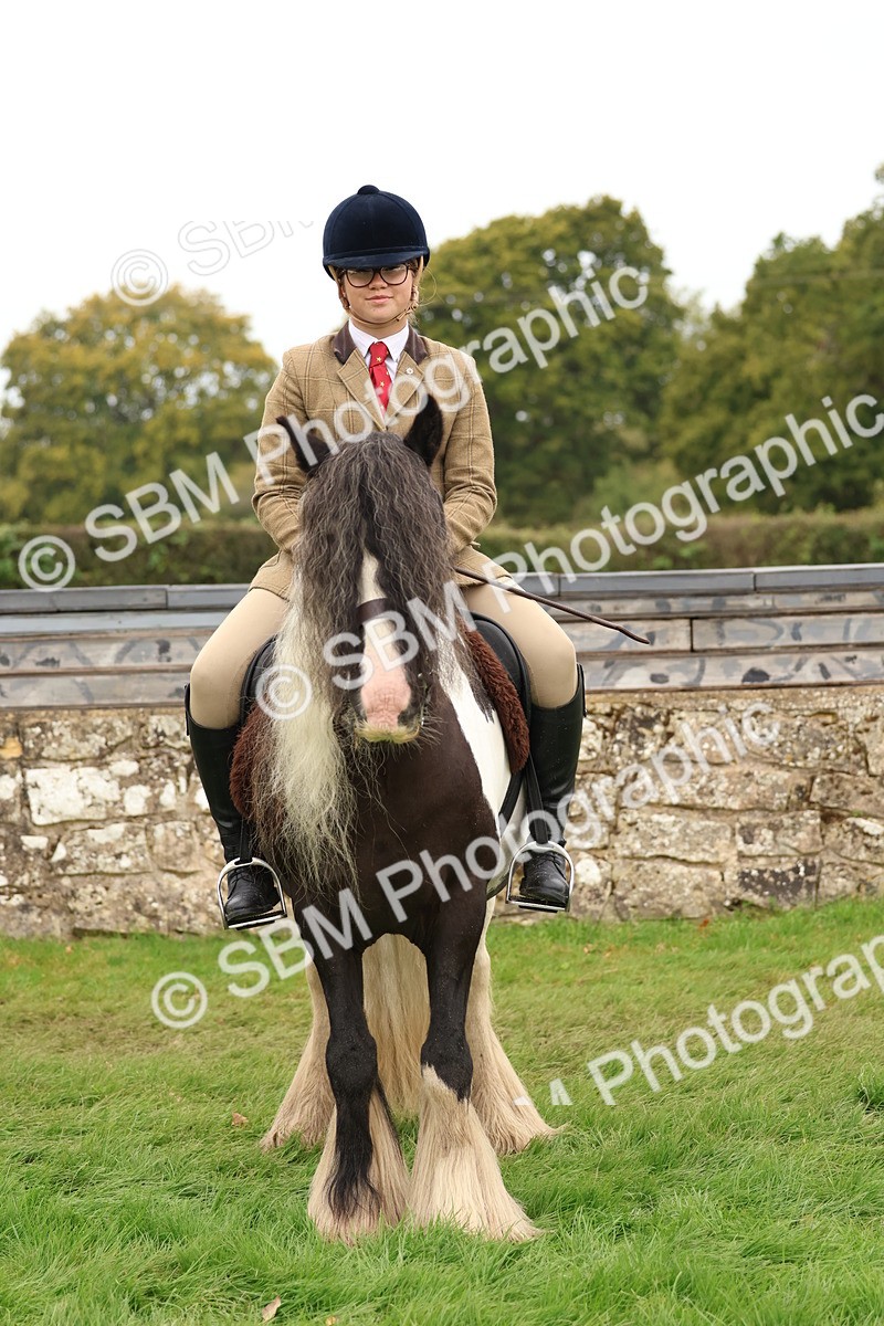 SBM_59942 - S36 - Rehabiliated Rescue Horse & Pony In Hand & Ridden