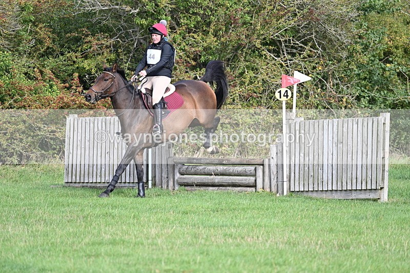 WJ7_8271 - 60cm Pairs