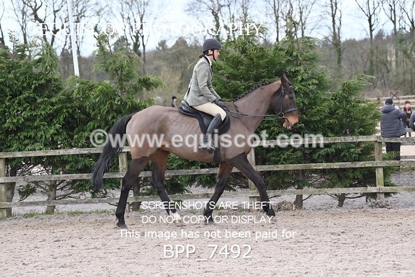 BPP_7492 - RING 1  (RIDDEN HORSES / IN HAND / VETERAN ETC)