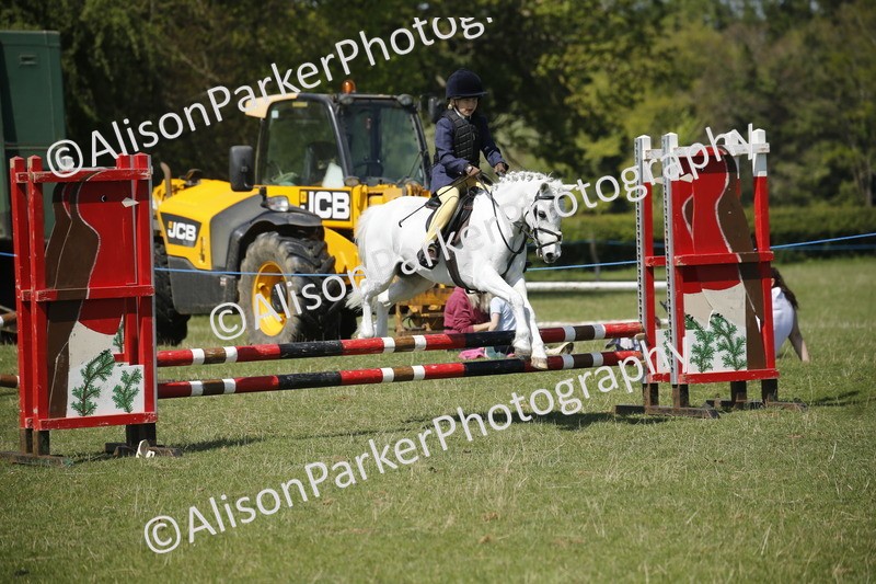 20250427-2306 - Class 13 - Novice Jumping 60cm
