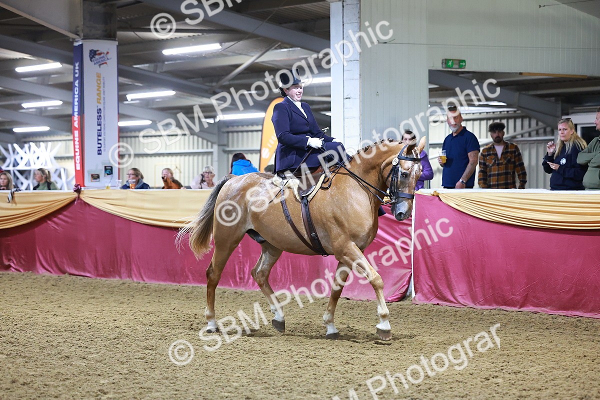 SBM_15683 - Class T - Working Veteran Champ