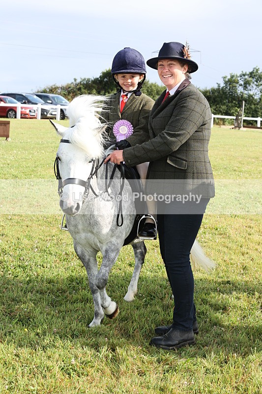 JPP_0468 - Class 14: Cornish Combination Leading Rein