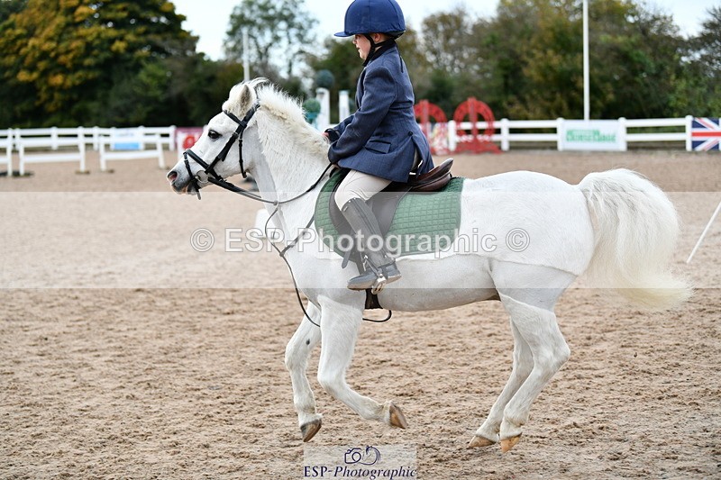 241013B-092510-00186 - Cls 1 Clear Round