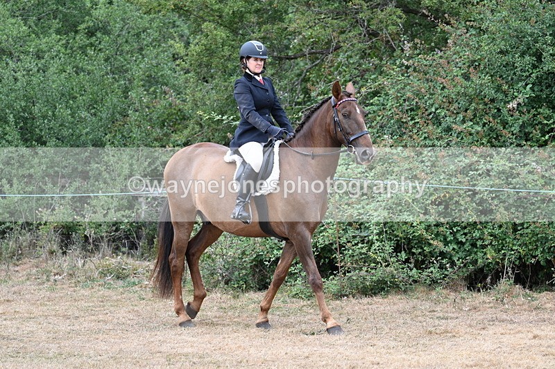 WJ7_0757 - Class 7 Riding Club Show Horse