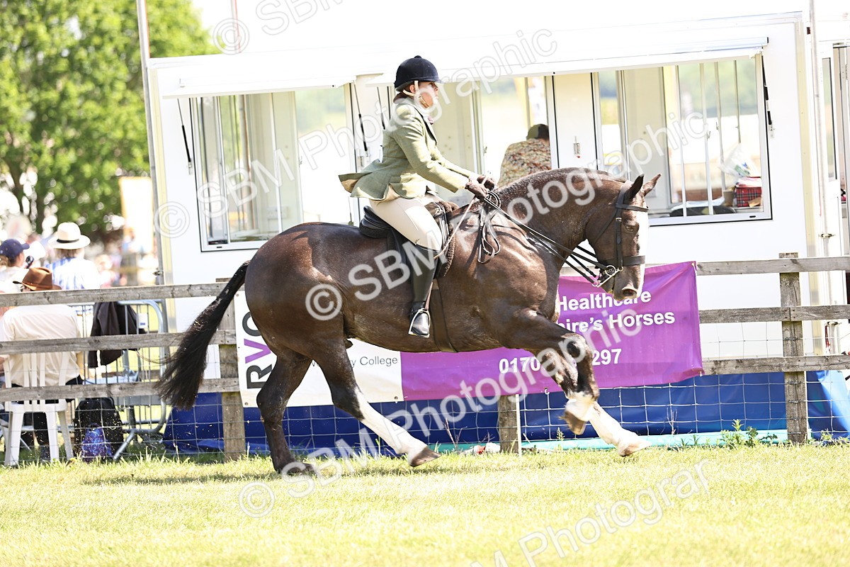 SBM_13784 - Class 77 - LIHS BSHA Rising Star Cobs