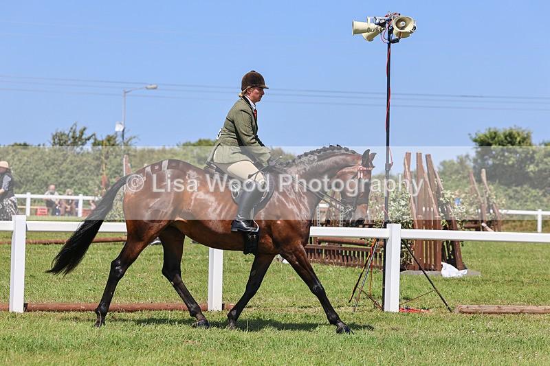IMG_2319 - Class 38: Veteran Ridden