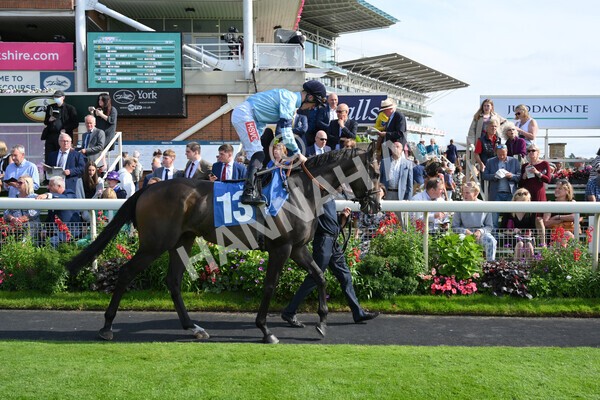 yr18082021r5-16 - Race 5 4.10pm Sky Bet Stakes