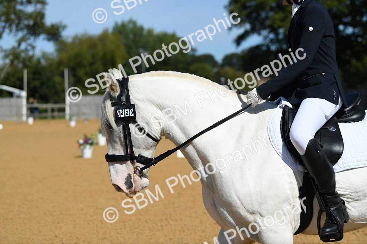 SBM_20705 - D13 - Grand Tour Championship - Prelim 12