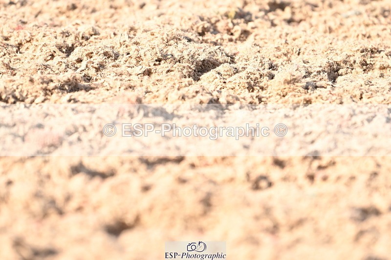 240324A-154121-04549 - Novice 28, 15.33 to 16.15